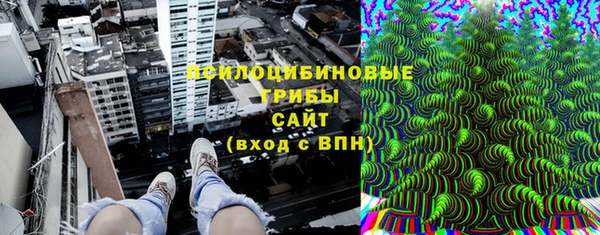 бошки Гусь-Хрустальный